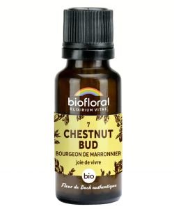 Bourg. de Marronnier - Chestnut Bud (n°7), granules sans alcool BIO, 19 g